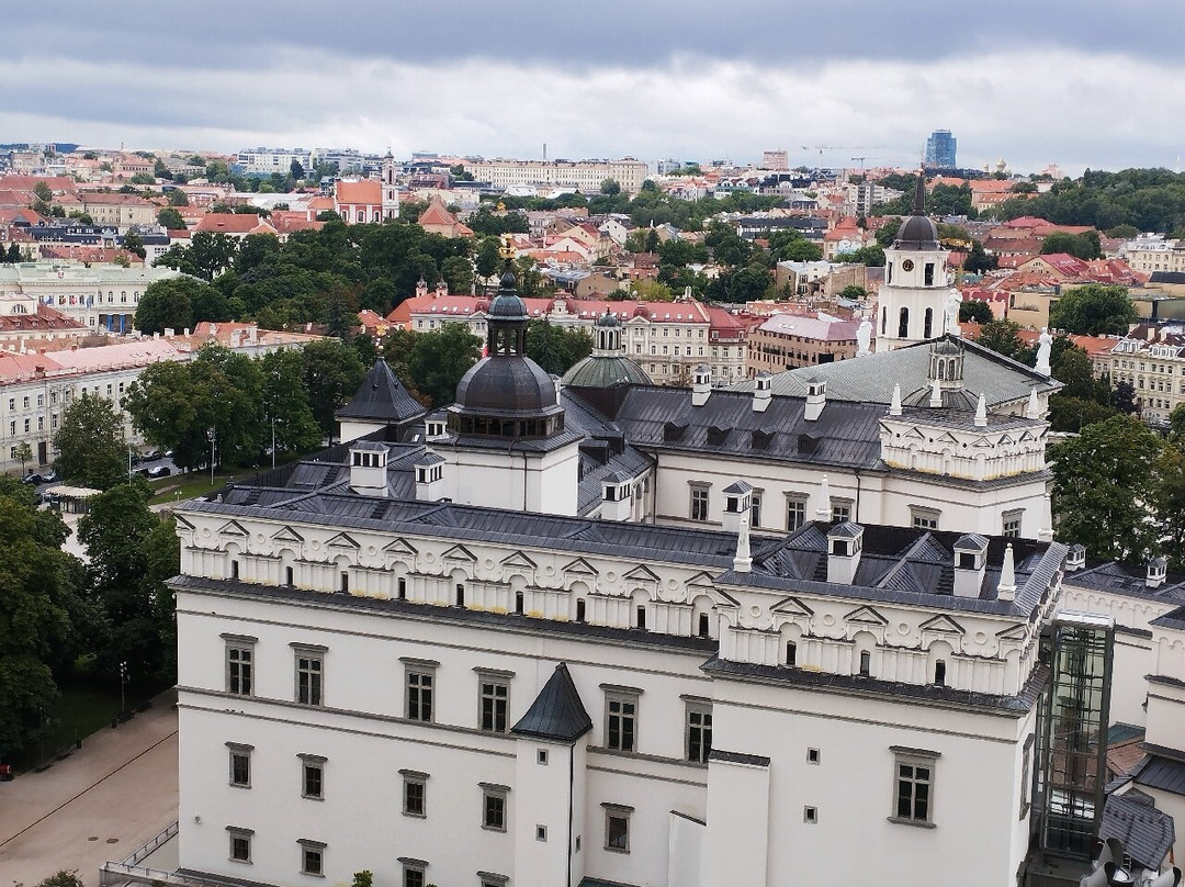 Gediminas Castle Tower-维尔纽斯必去景点
