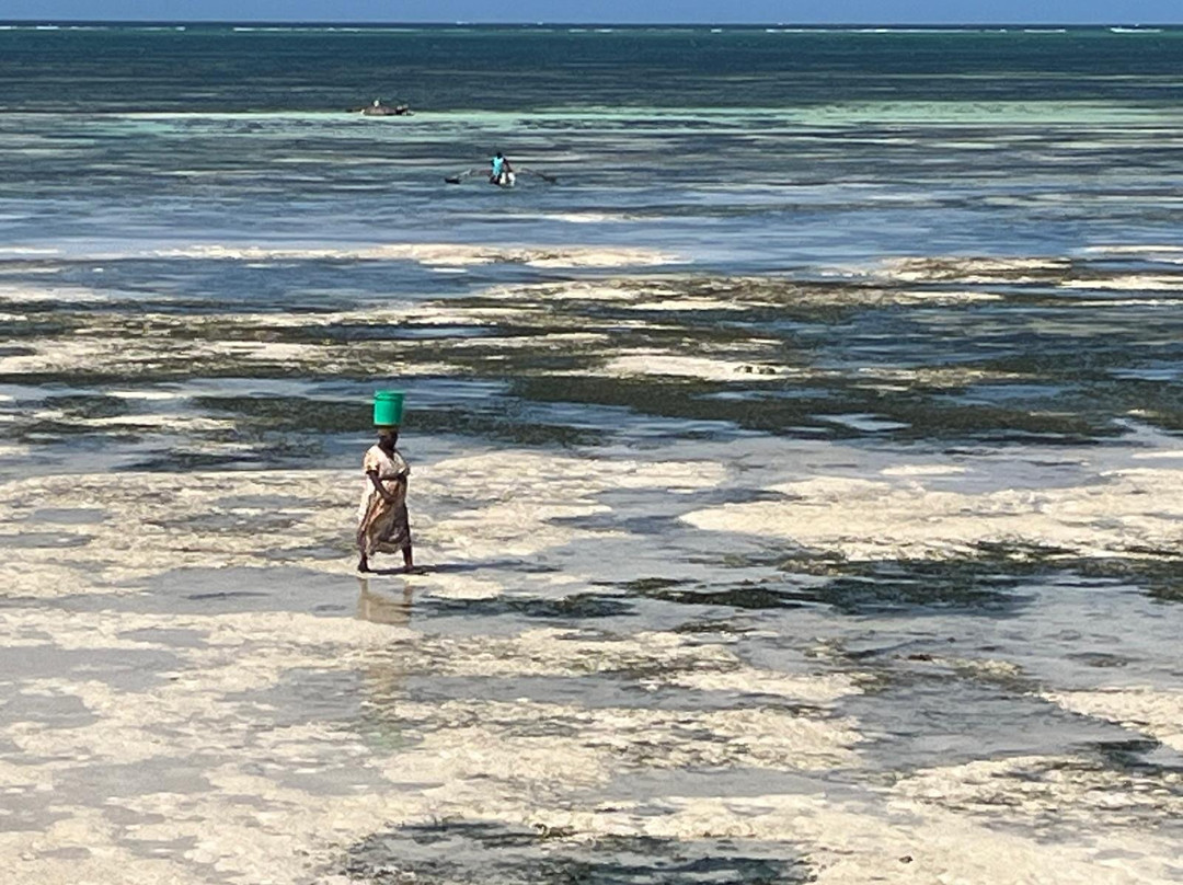 The Island - Pongwe Lodge主图