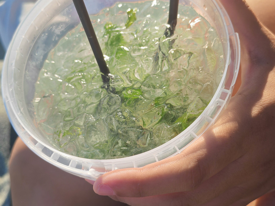 Stella Marina Beach Bar-滨海蒙特罗梭必去景点