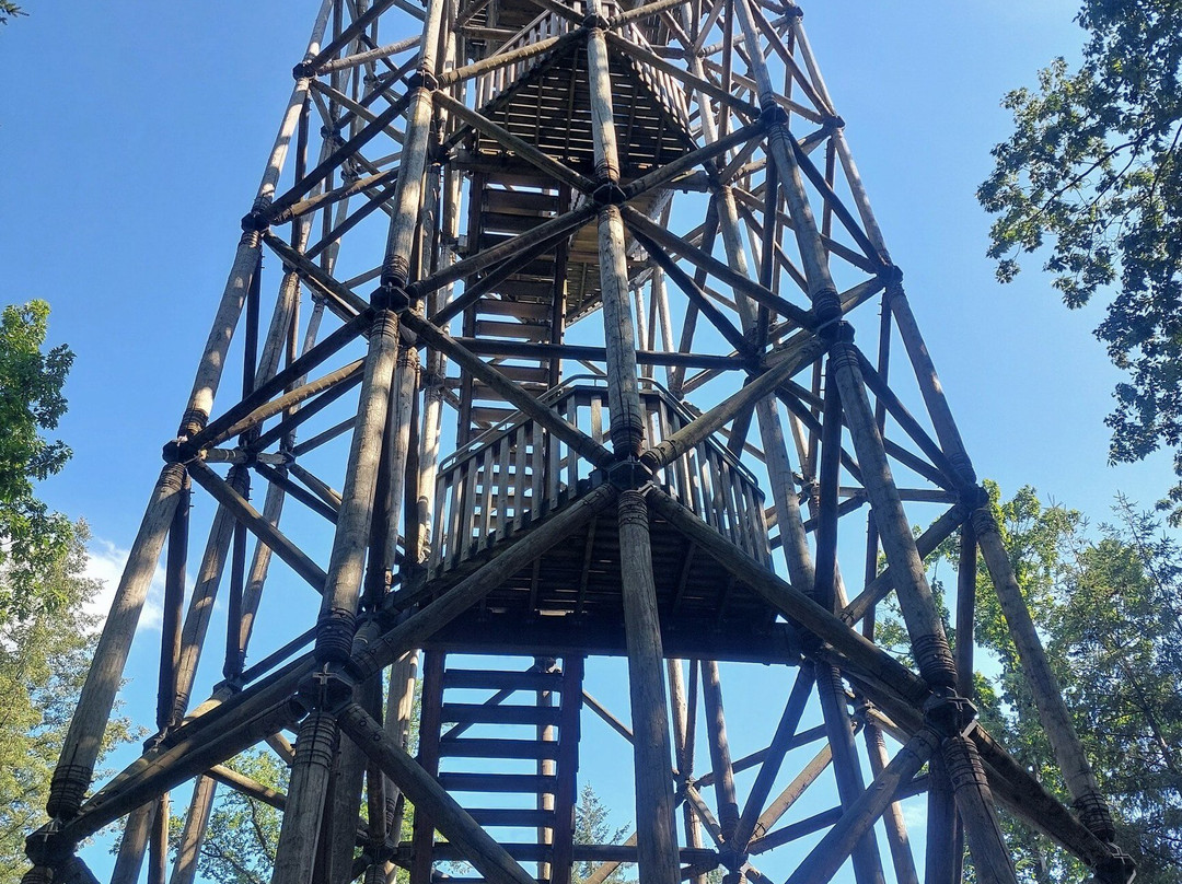 Park Berg en Bos-阿珀尔多伦必去景点