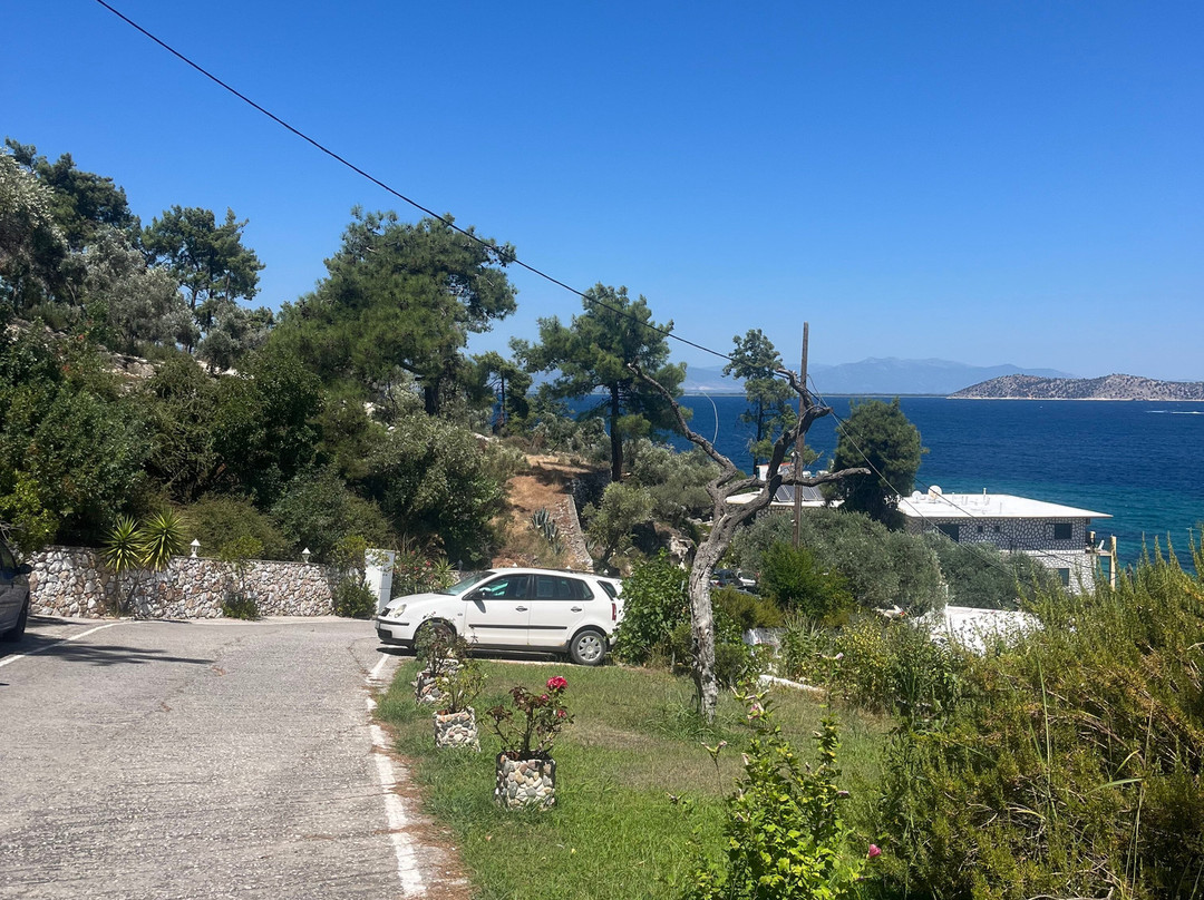 Nisteri Beach Hotel Villa主图