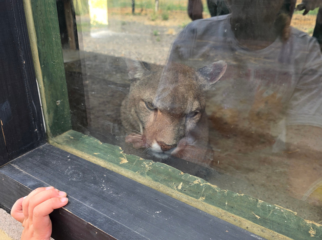 Ashlyns Wildlife Park-North Weald必去景点