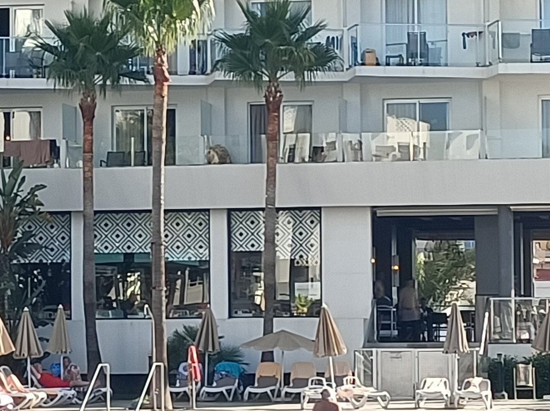 里乌太阳海岸酒店 - 全包主图