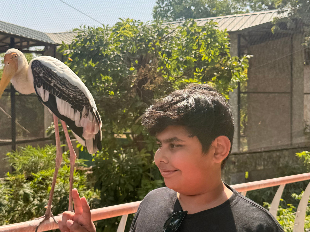 Sayaji Baug Zoo-瓦都达拉必去景点