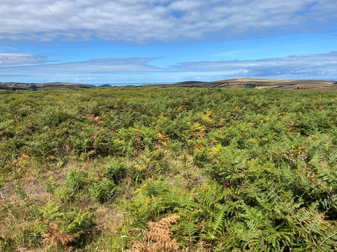 Doone Valley-Exmoor National Park必去景点