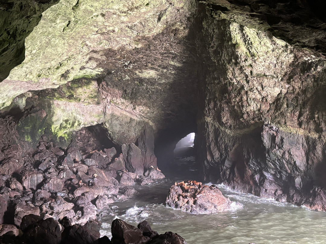 Sea Lion Caves-弗洛伦斯必去景点