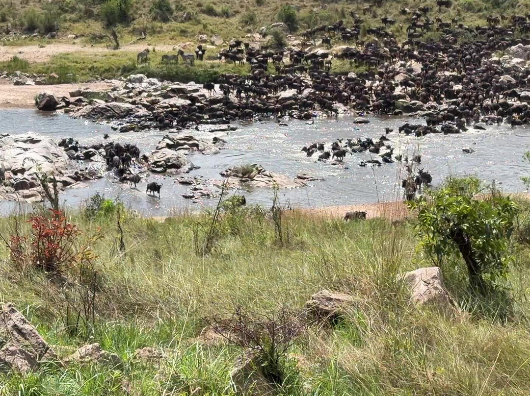 Unlimited Expeditions - The Soul Of Tanzania-阿鲁沙必去景点