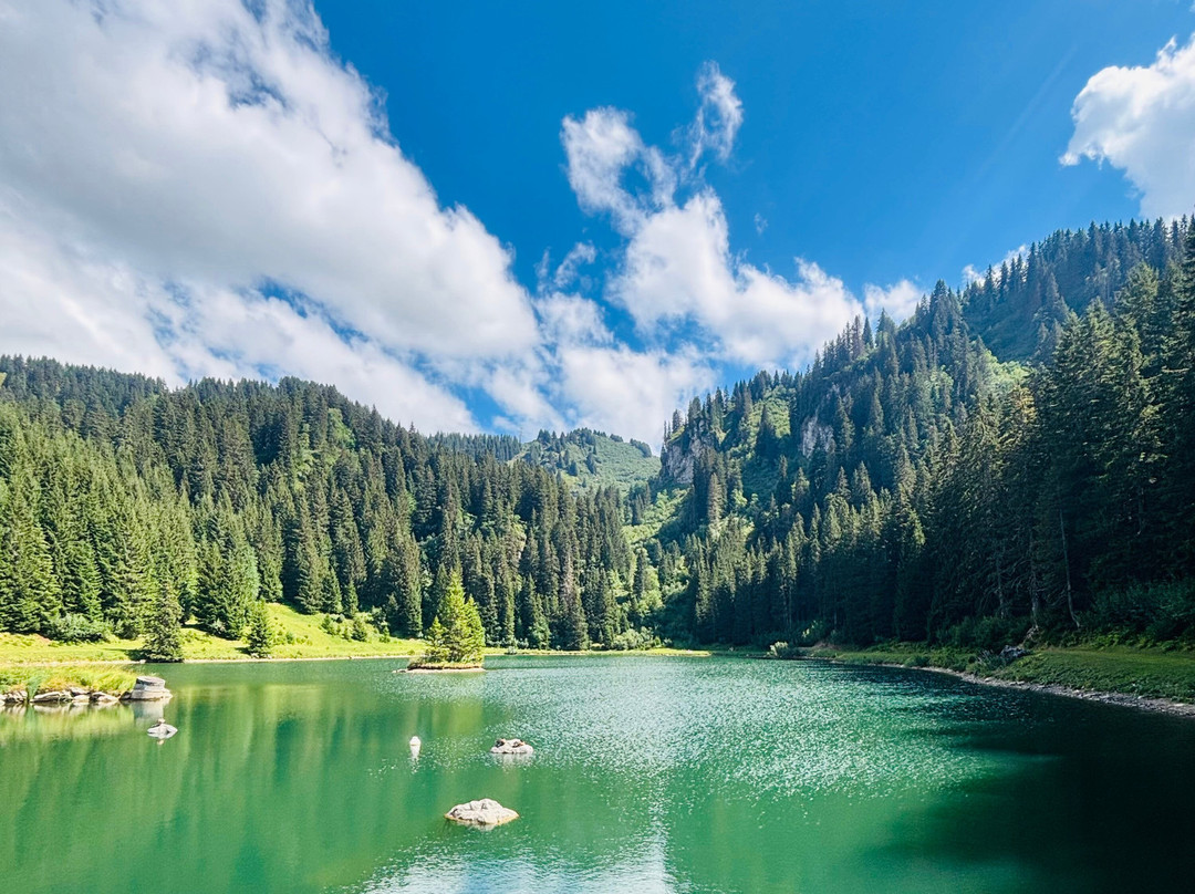 Lac De La Mouille
