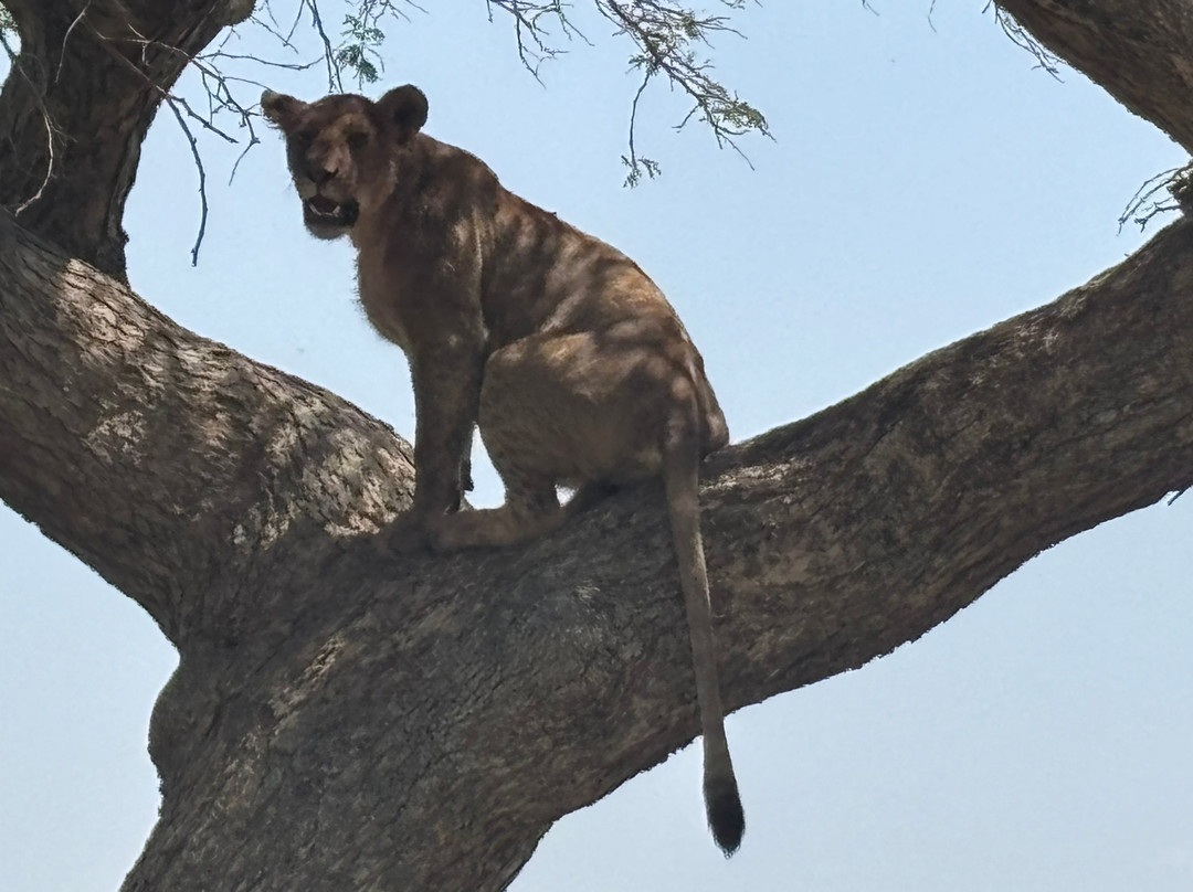 Tanzania-Experience-阿鲁沙必去景点