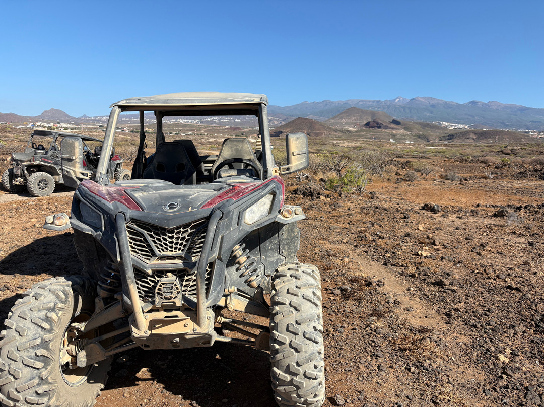 King Buggy Tenerife