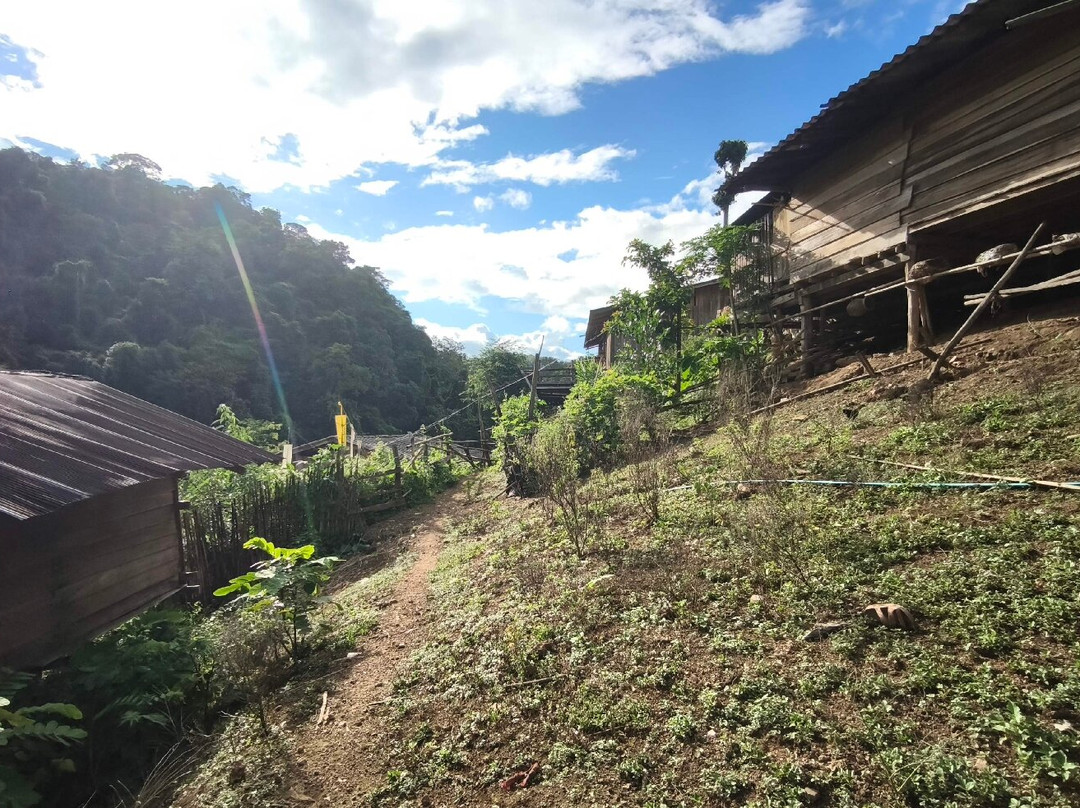 Mike's Authentic Trekking-清迈必去景点