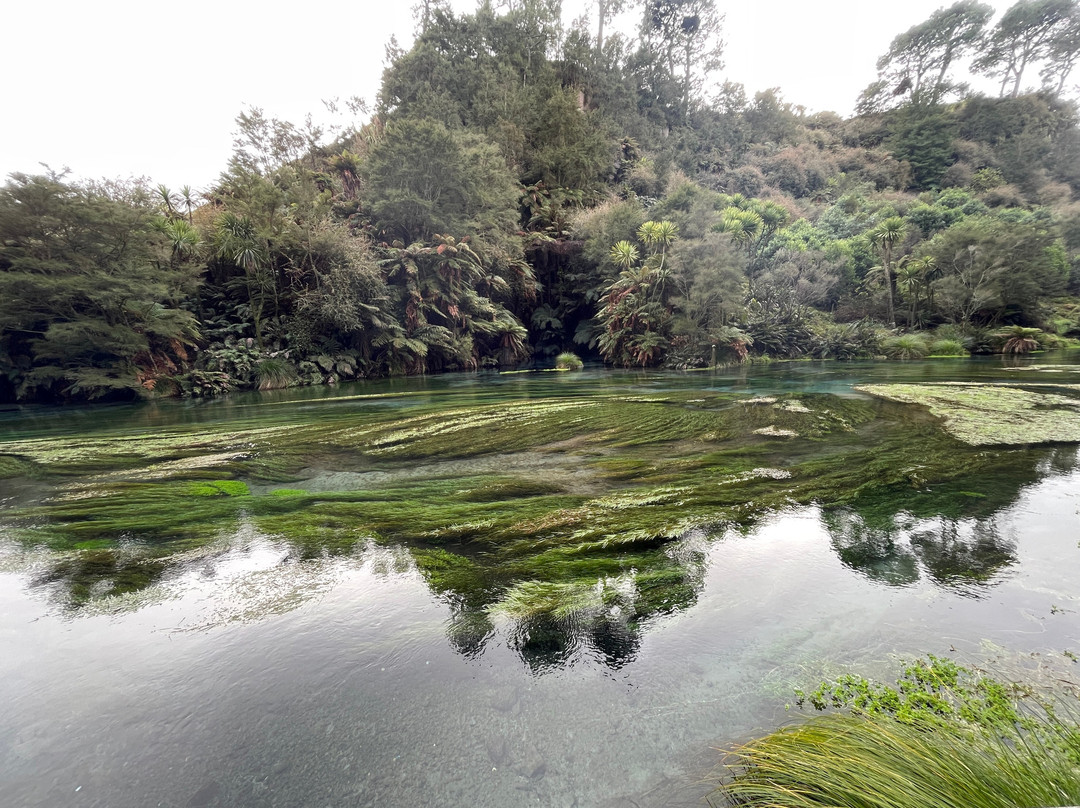 Blue Spring-普塔鲁鲁必去景点