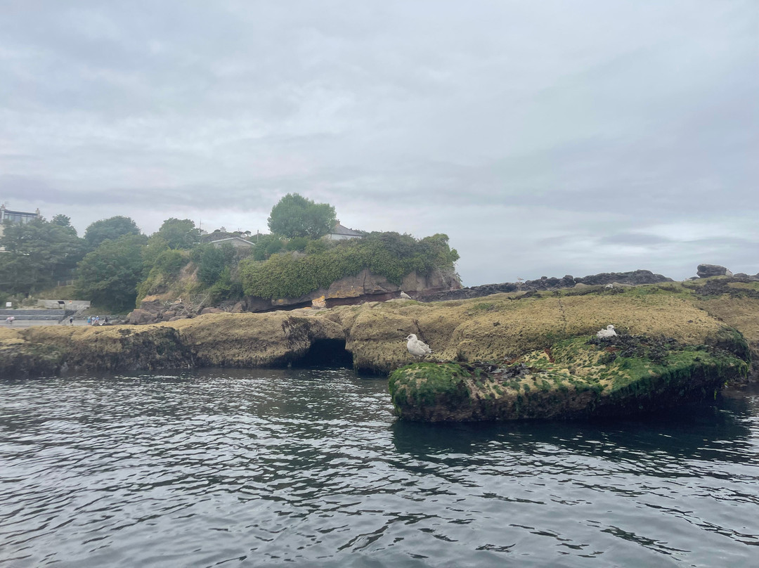 Dunmore Adventure-Dunmore East必去景点