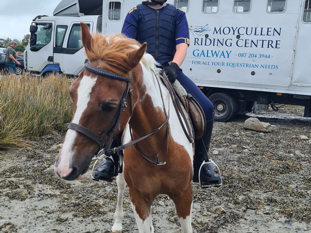Moycullen Riding Centre-Moycullen必去景点