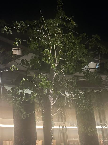 泰坦尼克奢华系列酒店博德鲁姆-旅行者