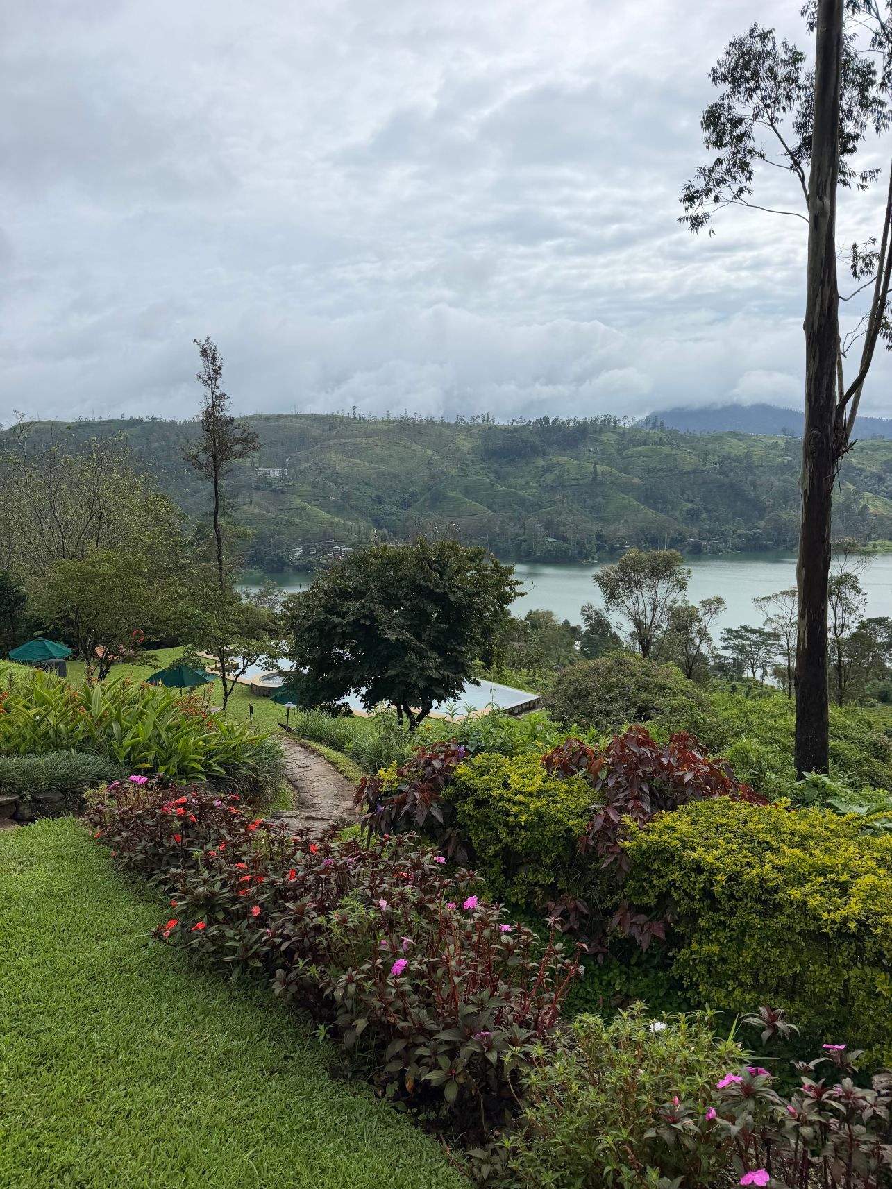 锡兰茶径 - 瑞莱斯和城堡 - 全包式-旅行者