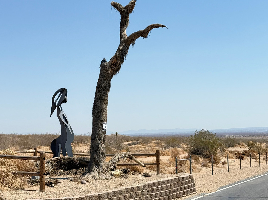 El Mirage Dry Lake Off-Highway Vehicle Recreation Area-El Mirage必去景点
