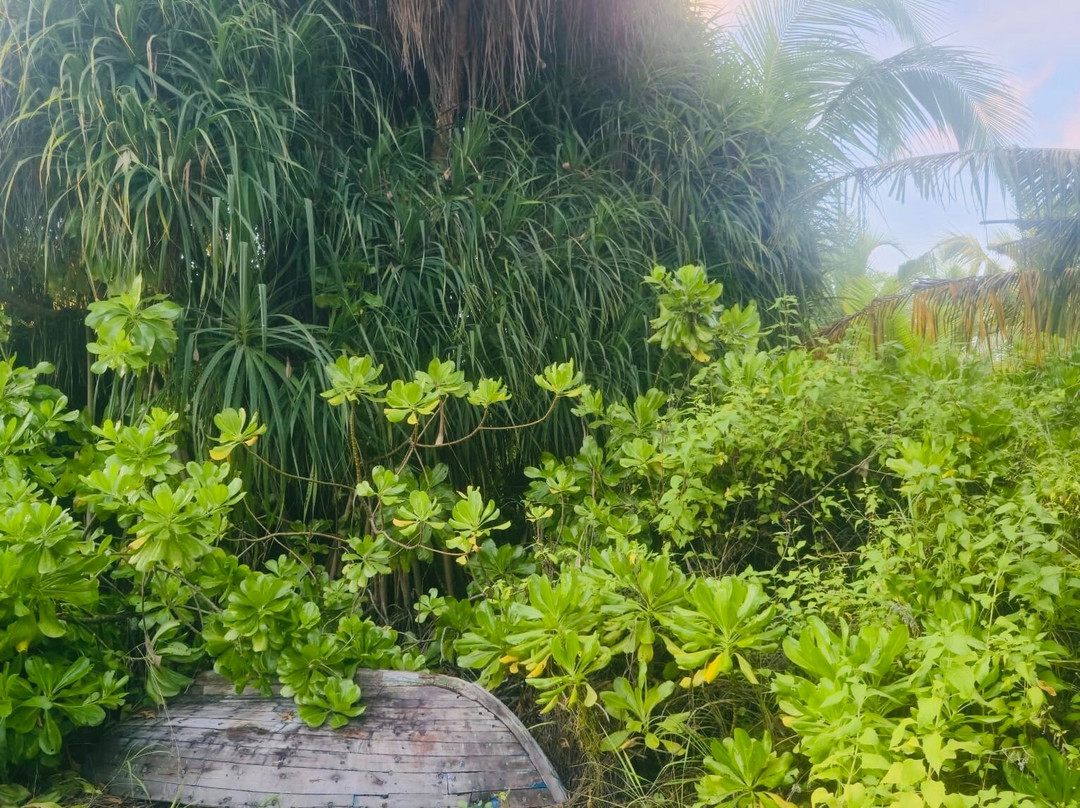 考马拉旅馆主图