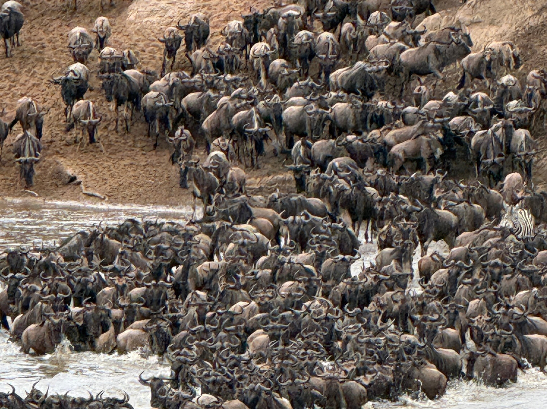 Unlimited Expeditions - The Soul Of Tanzania-阿鲁沙必去景点