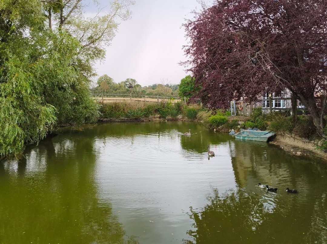 Le Manoir Des Bréholles主图