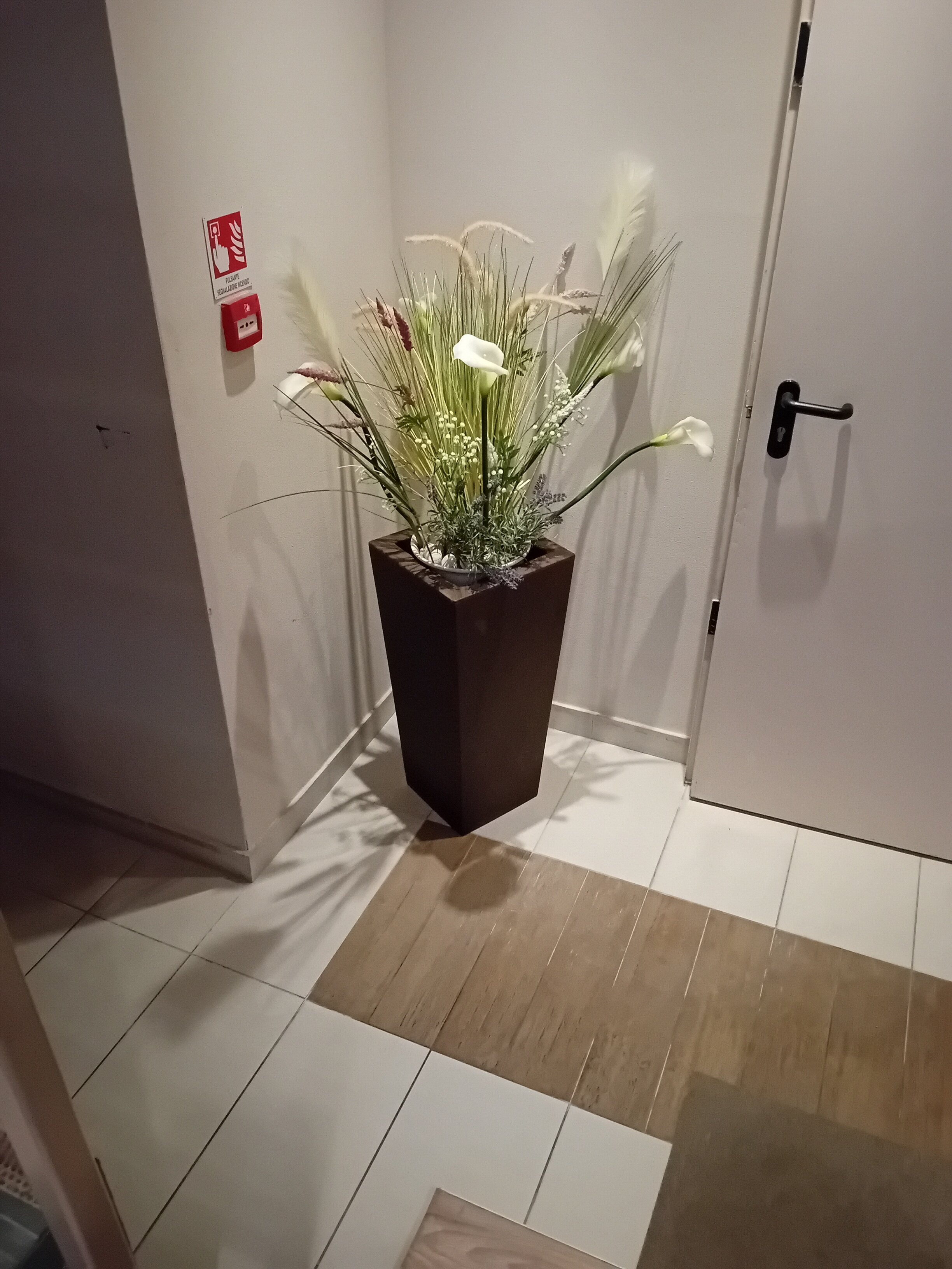 米拉马勒酒店-旅行者