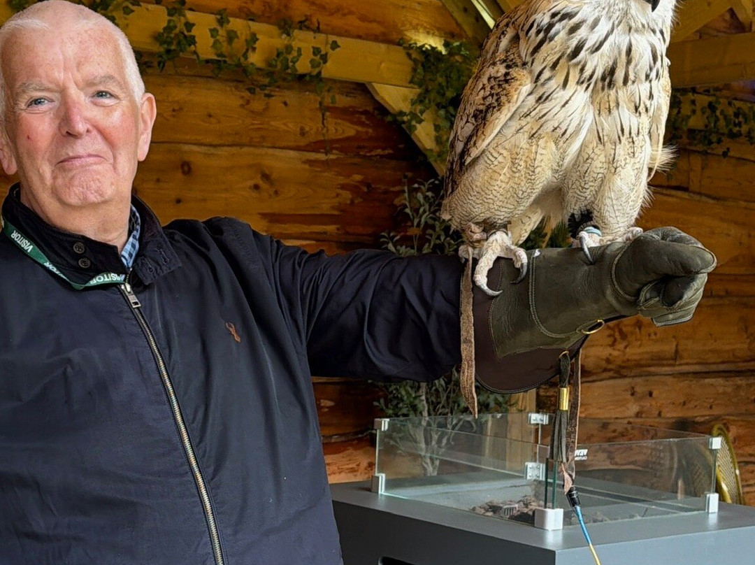 Cheshire Falconry-Northwich必去景点