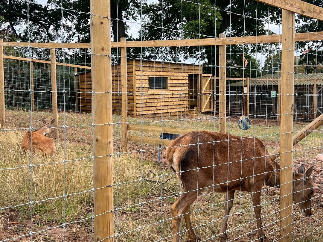 Small Breeds Farm Park-Kington必去景点