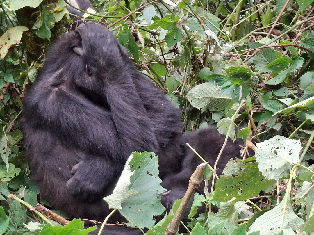 Africa Reveal Safaris-Namugongo必去景点