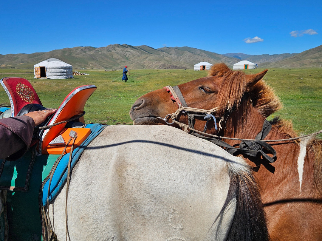 Sunpath Mongolia-乌兰巴托必去景点