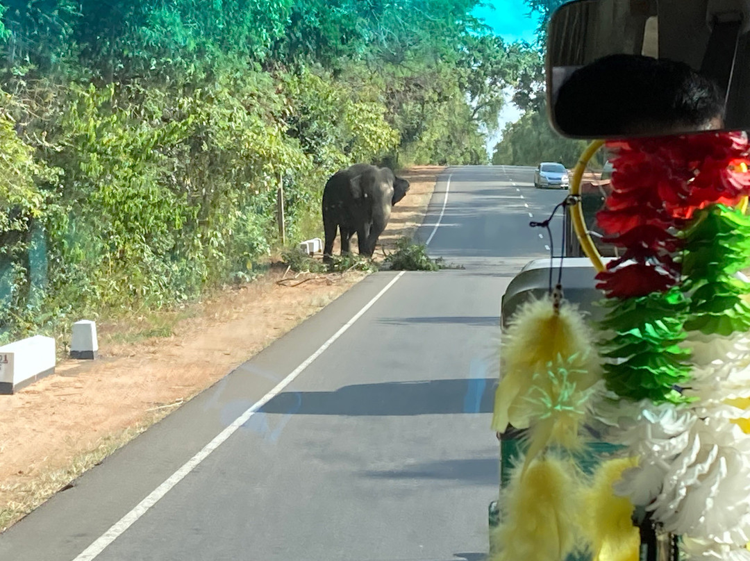 Srilankan Round Tours with Supun-加勒必去景点