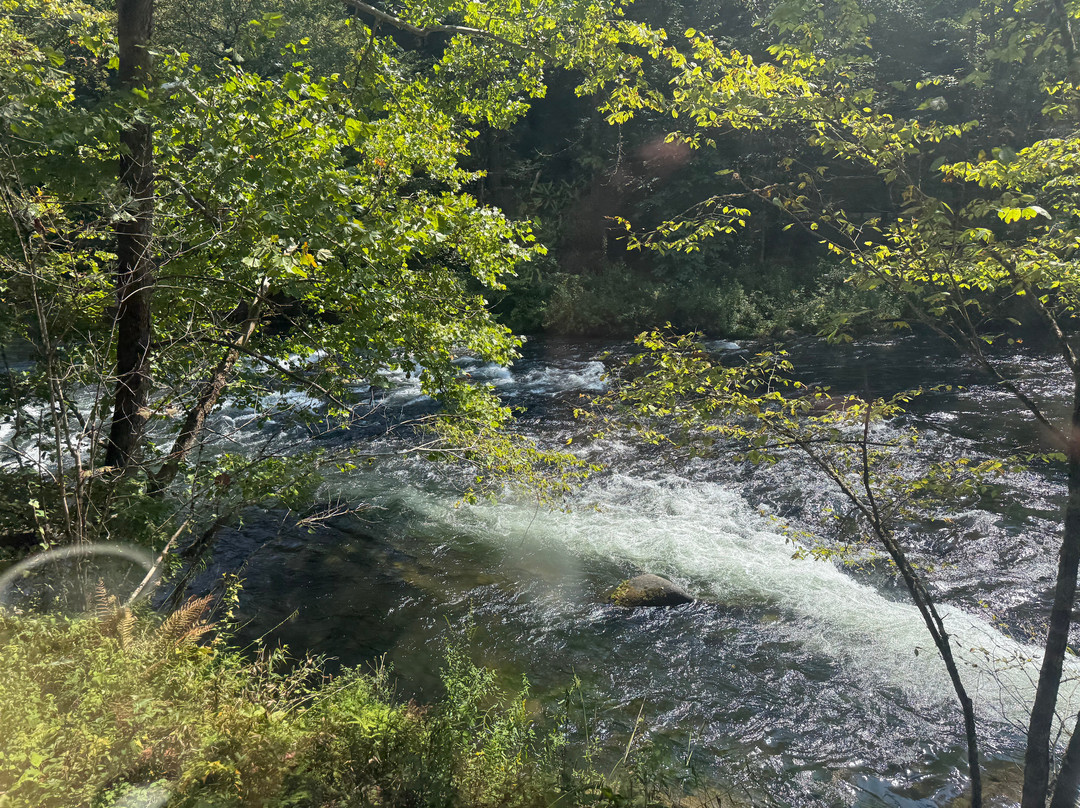 Great Smoky Mountains Railroad-布赖森城必去景点