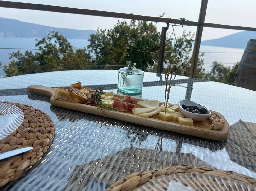 Savina Winery-赫尔采格诺维必去景点