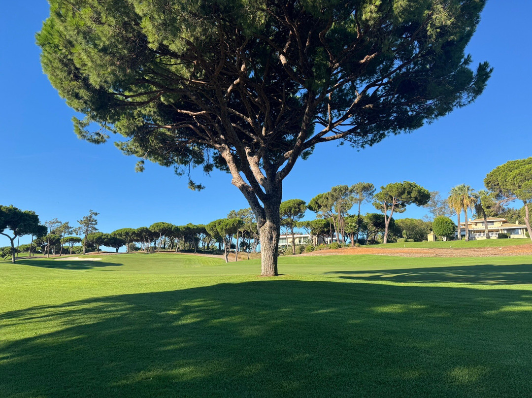 Quinta do Lago South-Almancil必去景点