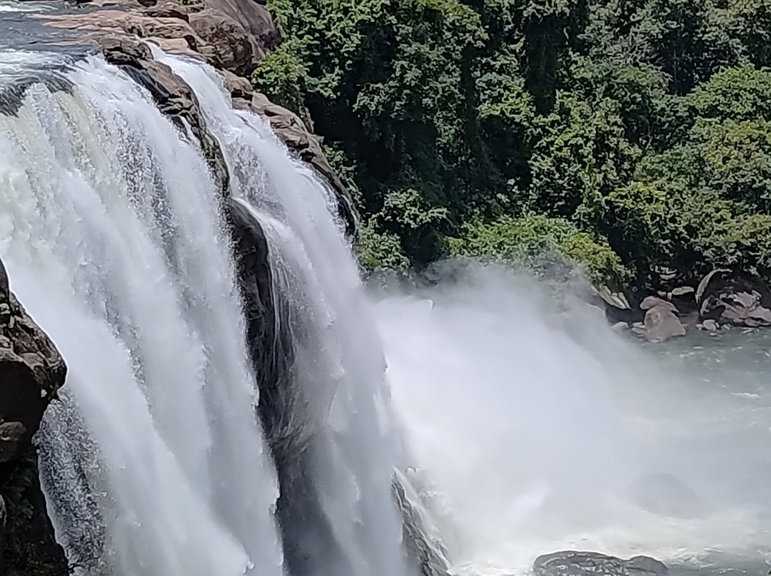 Experience Kerala Holiday Planners-柯钦必去景点