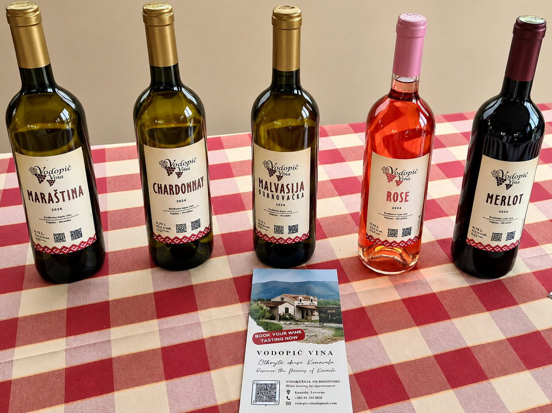 Wine Bar Vodopic-Konavle必去景点