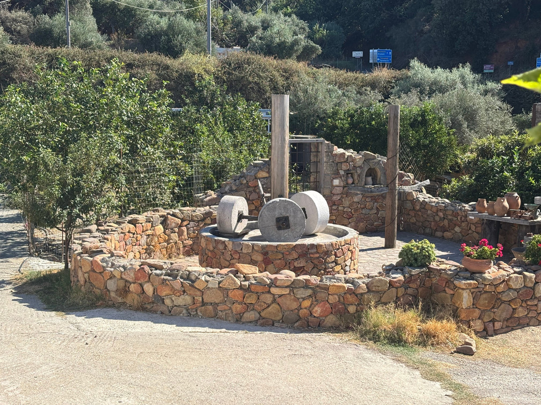 Olive Tree Museum of Vouves-Vouves必去景点