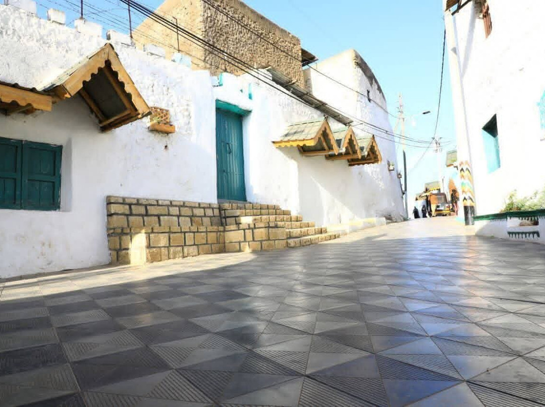 Edom Harar Tours & Car Rentals-哈勒尔必去景点