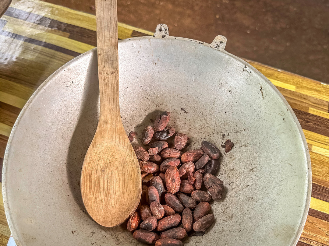 Tree Chocolate Tour-Upala必去景点