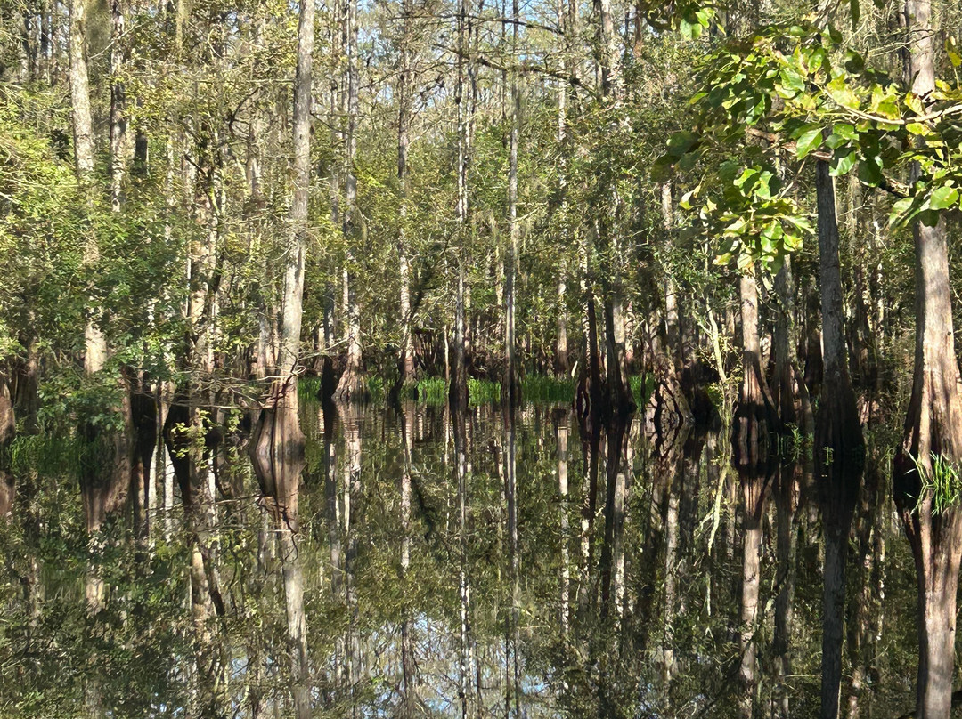 AirBoat Rides at Midway-Christmas必去景点