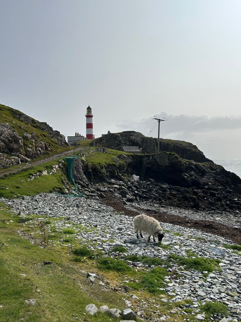 Two Harbours Guest House-旅行者