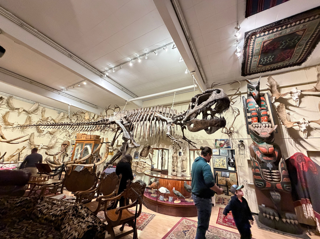 Hand of Man - Museum of Natural History, Cultural Arts & Conservation-邓肯必去景点