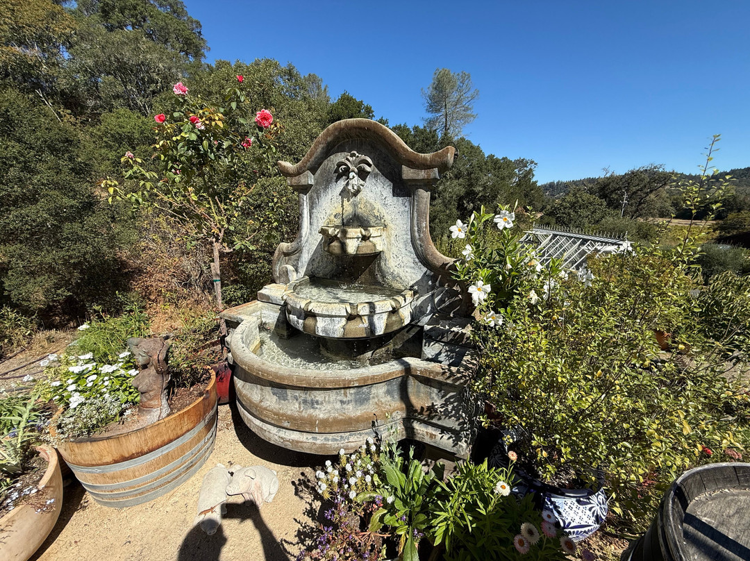 Capo Creek Winery-希尔兹堡必去景点