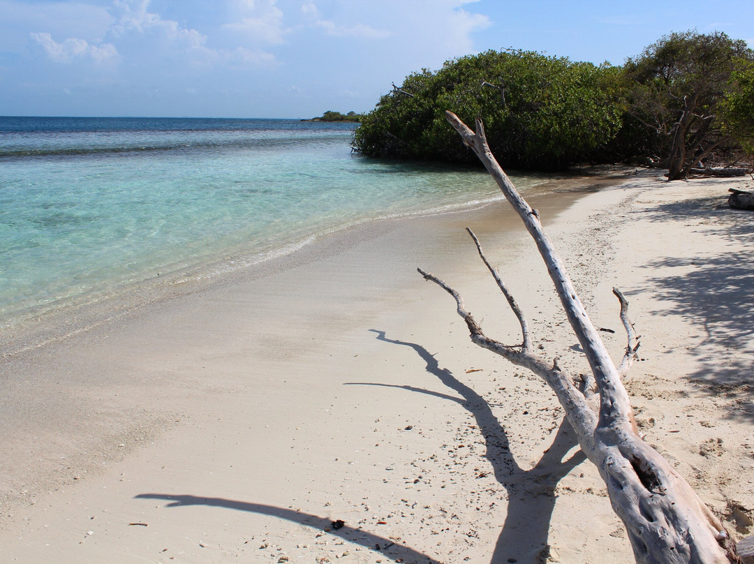 Playa Mero-Morrocoy National Park必去景点