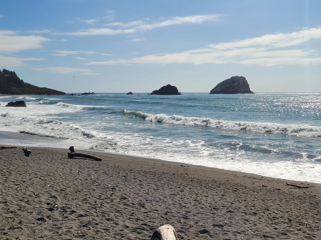 Gold Bluffs Beach-Orick必去景点