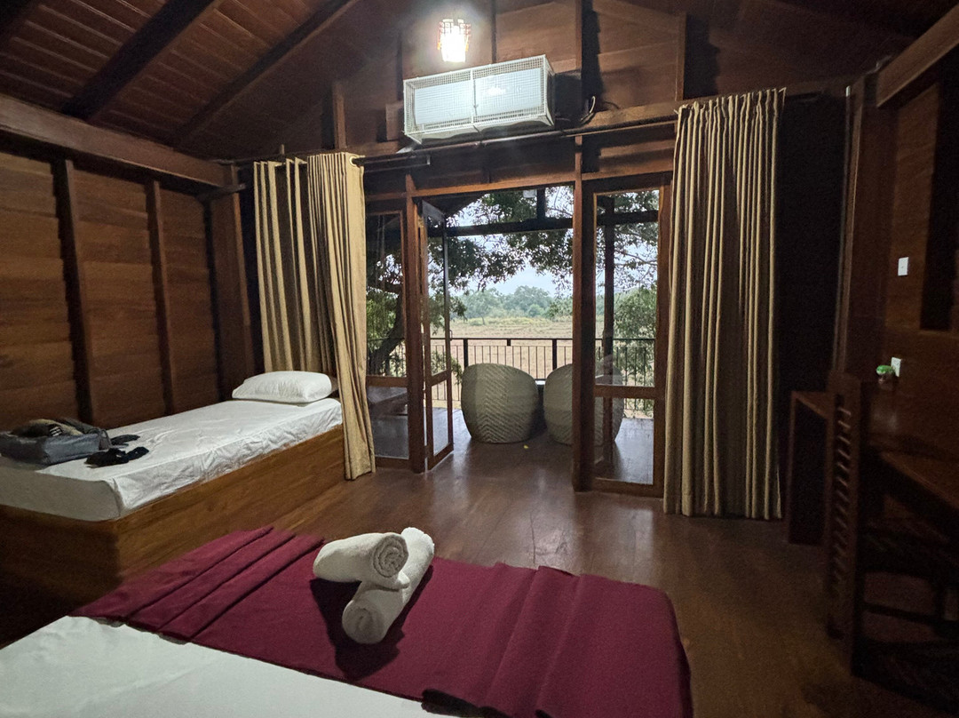 韦帕图树屋旅馆主图