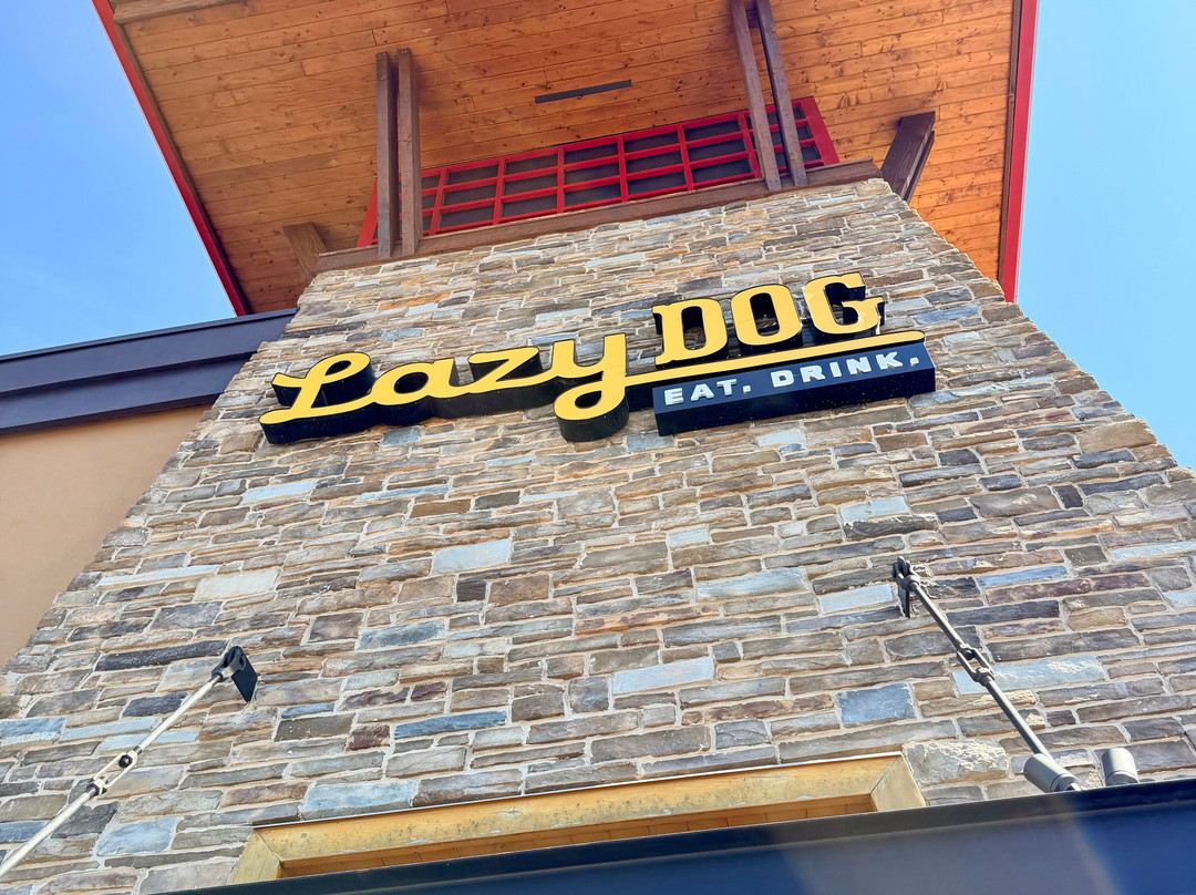Lazy Dog Restaurant & Bar