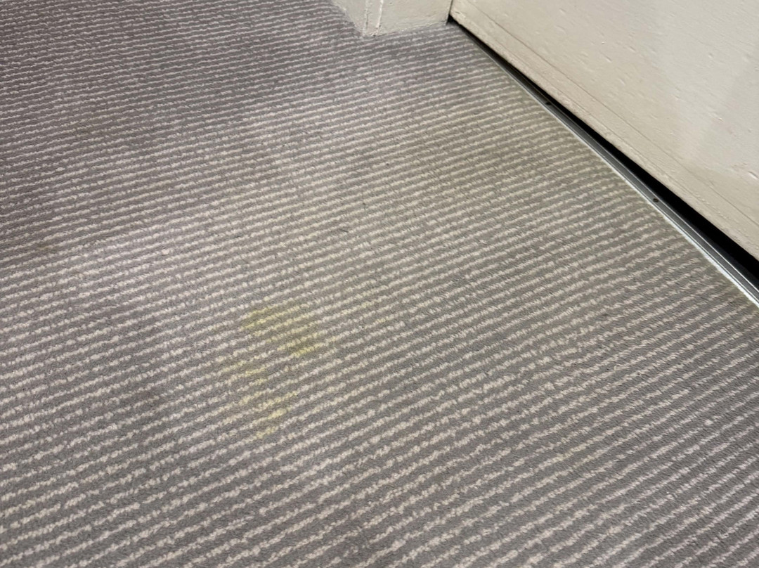 莫拉尔酒店主图