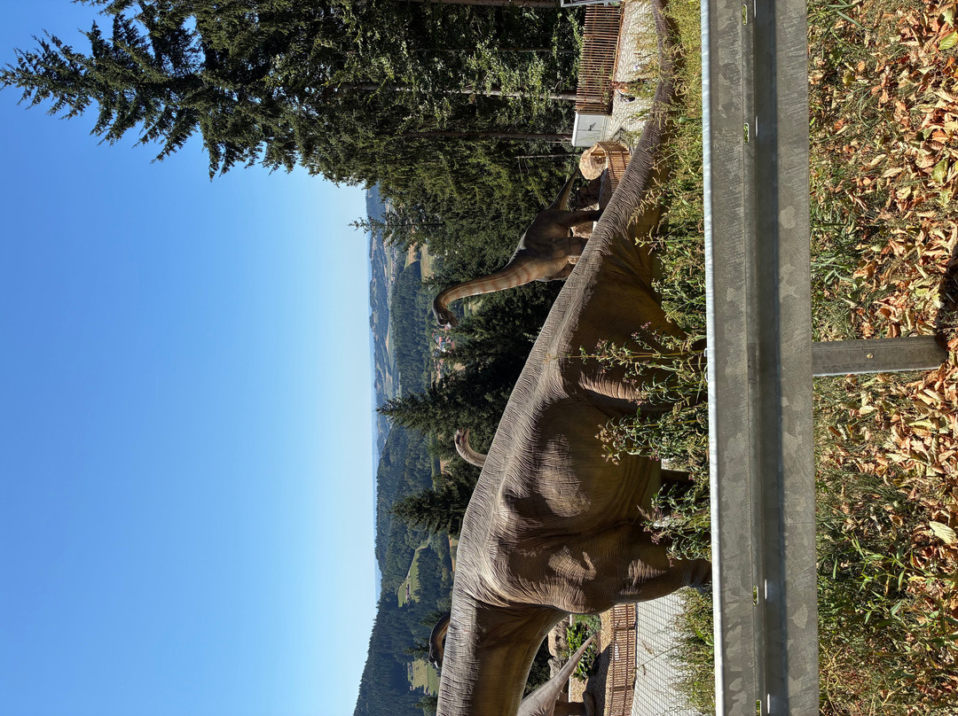 Edelwies Natur- und Freizeitpark-Neukirchen必去景点
