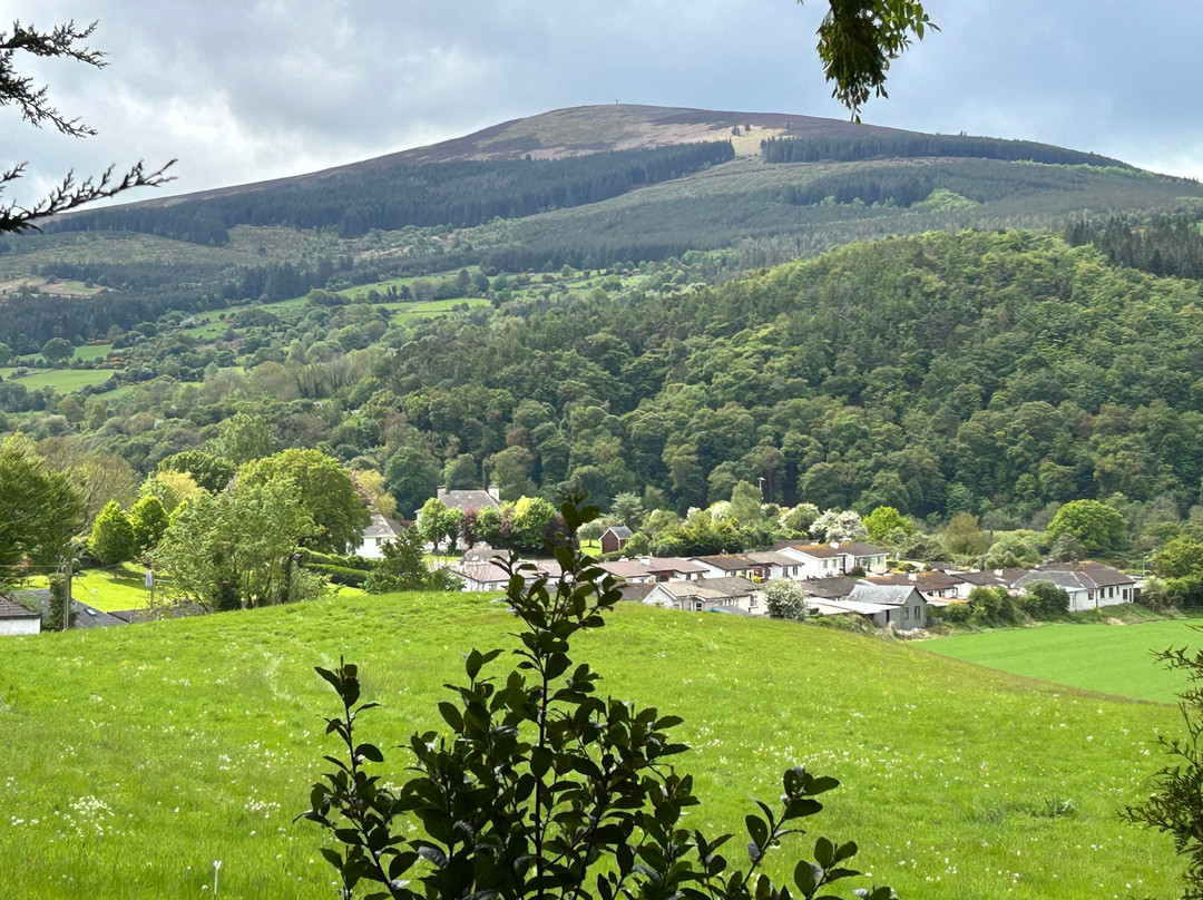 Mount Brandon Cottages