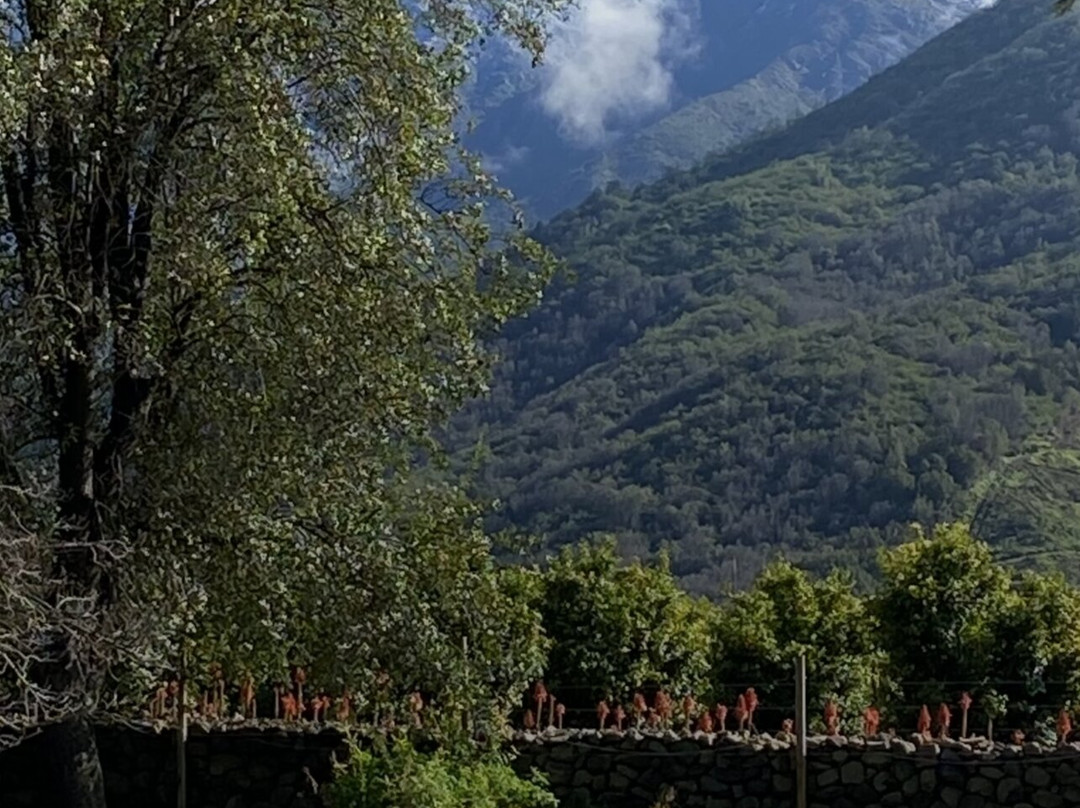 Rocas de Santo Domingo-Santo Domingo必去景点